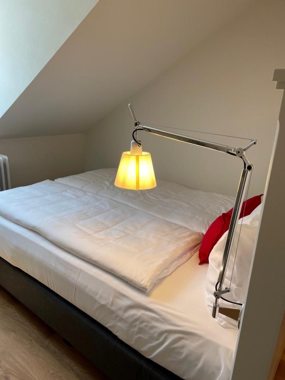 Palmbraeu Altstadt Appartments Heidelberg Eksteriør bilde